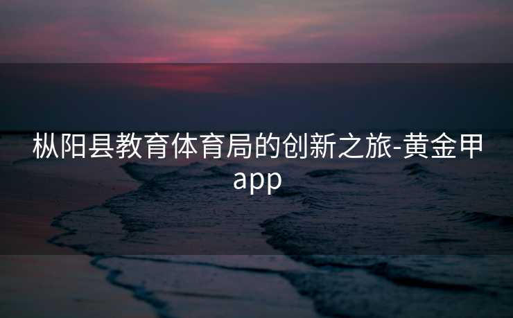 枞阳县教育体育局的创新之旅-黄金甲app
